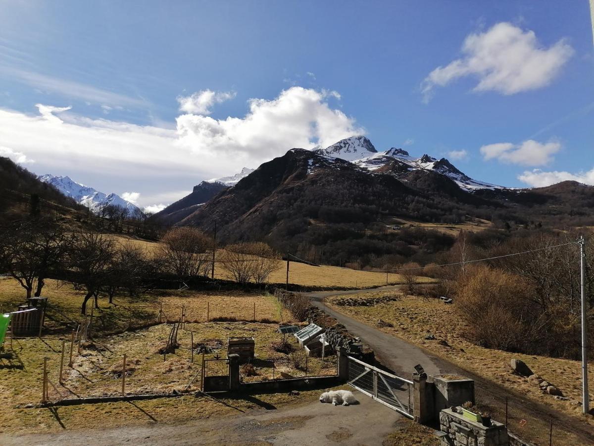 Aux D'Estaing Croises, Gite De Montagne Accessible A Tous المظهر الخارجي الصورة